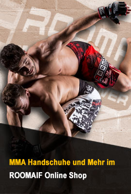 MMA HANDSCHUHE