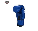 ROOMAIF COMBATIVE BOXHANDSCHUHE 