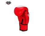 ROOMAIF COMBATIVE BOXHANDSCHUHE