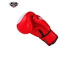 ROOMAIF COMBATIVE BOXHANDSCHUHE