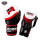 ROOMAIF CHAMP BOXING GLOVES
